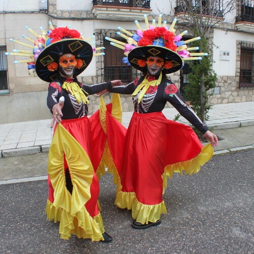 carnavales 2025 (160)